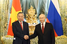 Tổng Bí thư, Chủ tịch nước Tô Lâm và Tổng thống Nga Vladimir Putin chụp ảnh chung trước hội đàm. (Ảnh: Thống Nhất/TTXVN)