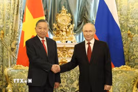 Tổng Bí thư, Chủ tịch nước Tô Lâm và Tổng thống Nga Vladimir Putin chụp ảnh chung trước hội đàm. (Ảnh: Thống Nhất/TTXVN)