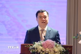 Thứ trưởng Bộ Công Thương Nguyễn Sinh Nhật Tân. (Ảnh: Mai Trang/TTXVN)