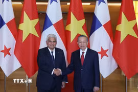 Tổng Bí thư, Chủ tịch nước Tô Lâm và Tổng thống Panama José Raúl Mulino. (Ảnh: Thống Nhất/TTXVN)