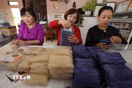 Đóng gói sản phẩm bún khô được sản xuất theo phương thức truyền thống, ở tổ liên kết làng nghề truyền thống bún An Phong, thôn An Phong, xã Phù Cát. (Ảnh: Vũ Sinh/TTXVN)