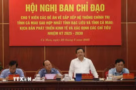 Phó Bí thư Thường trực Tỉnh ủy Cà Mau Nguyễn Đức Hiển phát biểu. (Ảnh: Kim Há/TTXVN)