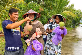 Du khách thích thú với hoạt động trải nghiệm hái xoài tại vườn ở xã Cam Lâm (Khánh Hòa). (Ảnh: TTXVN phát)