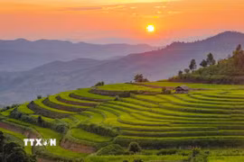 Những đường cong của ruộng bậc thang nổi bật trong ánh chiều tà, phía xa là núi rừng trùng điệp của vùng cao Pu Nhi. (Ảnh: Xuân Tư/TTXVN)