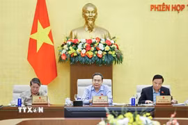 Chủ tịch Quốc hội Trần Thanh Mẫn phát biểu. (Ảnh: Doãn Tấn/TTXVN)