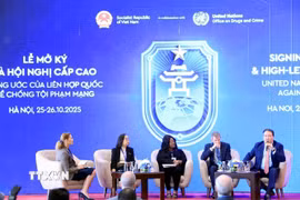 Các đại biểu trao đổi thảo luận tại hội thảo. (Ảnh: Tuấn Anh/TTXVN)