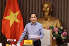 Phó Thủ tướng, Bộ trưởng Bộ Ngoại giao Bùi Thanh Sơn, Trưởng Ban Chỉ đạo quốc gia về ODA và vốn vay ưu đãi phát biểu. (Ảnh: An Đăng/TTXVN)