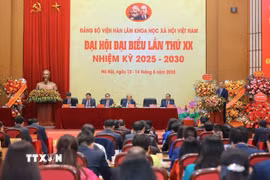 Đại hội đại biểu Đảng bộ Viện Hàn lâm Khoa học xã hội Việt Nam nhiệm kỳ 2025-2030. (Ảnh: Hoàng Hiếu/TTXVN)