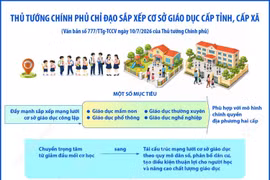 Thủ tướng Chính phủ chỉ đạo việc sắp xếp cơ sở giáo dục công lập cấp tỉnh, xã