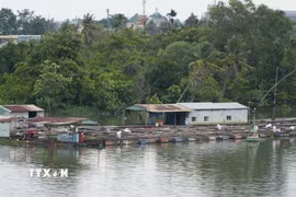 Các hộ dân nuôi cá tự phát trên sông Cái (nhánh của sông Đồng Nai) thuộc phường Trấn Biên, thành phố Đồng Nai gây ảnh hưởng đến dòng chảy và ô nhiễm môi trường. (Ảnh: Lê Xuân/TTXVN)