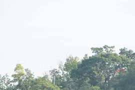 Huế: Sắp đặt 7 đài sen trên sông Hương nhân Đại Lễ Phật đản