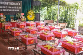 Hài cốt 34 liệt sỹ được Đội tìm kiếm, quy tập hài cốt liệt sỹ tỉnh Tuyên Quang tìm thấy trong "Chiến dịch 500 ngày đêm đẩy mạnh tìm kiếm, quy tập và xác định danh tính hài cốt liệt sỹ”. (Ảnh: Hoàng Hiếu/TTXVN)