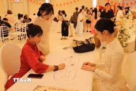 Ảnh minh họa. (Ảnh: Vũ Hiệp/TTXVN)