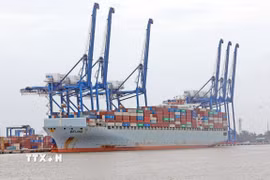 Bốc xếp hàng hóa qua Cảng Container Quốc tế Tân Cảng – Hải Phòng (TC-HICT). (Ảnh: Trần Việt/TTXVN)