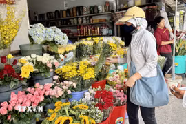 Gắn với Rằm tháng Bảy, mùa Vu lan cũng là dịp để mỗi người con tưởng nhớ tới ông bà, tổ tiên, cha mẹ đã khuất và ai còn cha mẹ thì hướng lòng về cha mẹ đang hiện hữu bên mình. (Ảnh: Hương Giang/TTXVN)