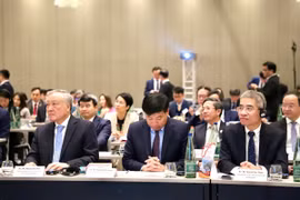 Phó Thủ tướng thường trực Nguyễn Hòa Bình tại Hội nghị Xúc tiến đầu tư vào Trung tâm tài chính tại Việt Nam diễn ra ở thành phố Frankfurt am Main. (Ảnh: Phương Hoa/TTXVN)