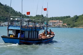 Ảnh minh họa. (Ảnh: Đình Quân/TTXVN)