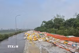 Bắc Ninh: Nỗ lực gia cố đê bối Đẩu Hàn trong đêm 
