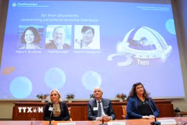Chân dung các nhà khoa học đoạt giải Nobel Y sinh năm 2025 (từ trái sang): Mary E Brunkow, Fred Ramsdell và Shimon Sakaguchi. (Ảnh: THX/TTXVN)