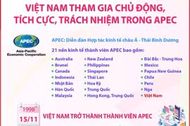 Việt Nam tham gia chủ động, tích cực, trách nhiệm trong APEC