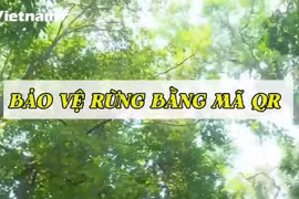 Mã QR được gắn trên cây di sản: Lan tỏa tình yêu và ý thức bảo vệ rừng