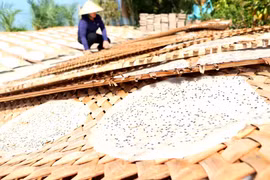 Bánh tráng Thuận Hưng được phơi nắng. (Nguồn: TTXVN) 