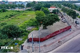Ảnh minh họa. (Ảnh: Trung Nguyên/TTXVN)