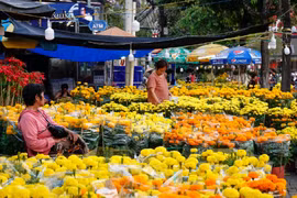 Chợ hoa Cần Thơ. (Nguồn: Dân Trí)