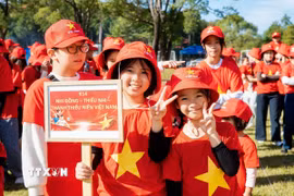 Thiếu niên Việt Nam tại Nhật Bản. (Ảnh minh họa: Xuân Giao/TTXVN)