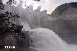 Ảnh minh họa. (Ảnh: Đỗ Trưởng/TTXVN)