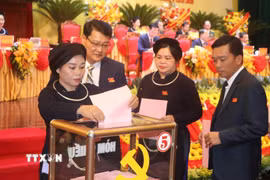 Đại biểu bỏ phiếu bầu Ban chấp hành đảng bộ tỉnh Cao Bằng lần thứ XX, nhiệm kỳ 2025-2030. (Ảnh: Quốc Đạt/TTXVN)