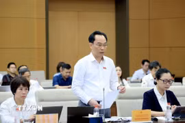 Bộ trưởng Bộ Giáo dục và Đào tạo Hoàng Minh Sơn phát biểu. (Ảnh: Tuấn Anh/TTXVN)