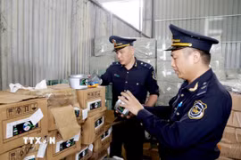 Lực lượng Hải quan cửa khẩu quốc tế Hữu Nghị (Lạng Sơn) kiểm tra nhãn mác hàng hóa nhập khẩu tại kho bãi khu vực cửa khẩu. (Ảnh: Quang Duy/TTXVN)