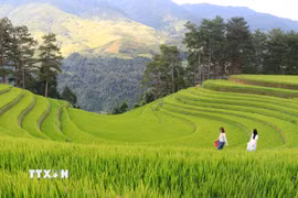 Chiêm ngưỡng vẻ đẹp ruộng bậc thang vùng cao Mù Cang Chải