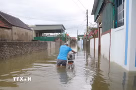 Nghệ An: Mưa lớn, khu vực vùng trũng ở Diễn Châu ngập nặng