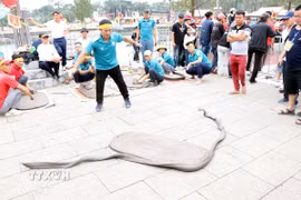 Sôi động trò chơi dân gian pháo đất tại Hải Phòng dịp đầu năm