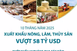 10 tháng năm 2025: Xuất khẩu nông, lâm, thủy sản vượt 58 tỷ USD
