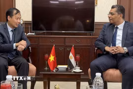 Đại sứ Nguyễn Nam Dương làm việc với Thống đốc tỉnh Biển Đỏ Walid Al Barqi. (Ảnh: Hoàng Nhương/TTXVN)