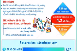 Kết quả Chỉ số Hiệu quả Kinh tế tư nhân năm 2025 của 34 địa phương