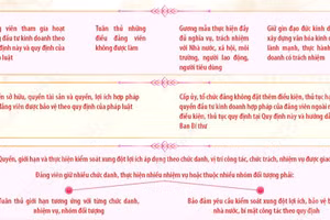 Quy định số 224-QĐ/TW về đảng viên tham gia hoạt động đầu tư kinh doanh
