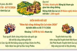 Gia Lai tổ chức chuỗi sự kiện Festival cồng chiêng-Tuần lễ Hoa Dã quỳ năm 2026 