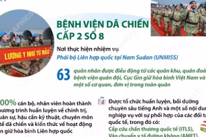 Bệnh viện dã chiến cấp 2 số 8 và Đội Công binh số 5 lên đường gìn giữ hòa bình 