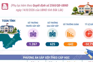 Phương án tổng thể sắp xếp các cơ sở giáo dục công lập tại tỉnh Đắk Lắk 