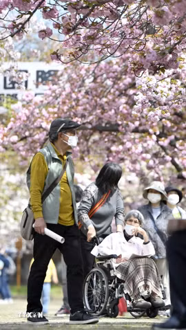 Người cao tuổi tại Osaka, Nhật Bản. (Ảnh: Kyodo/TTXVN)