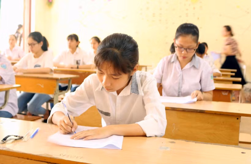 (Ảnh minh họa: Đại Nghĩa/TTXVN)