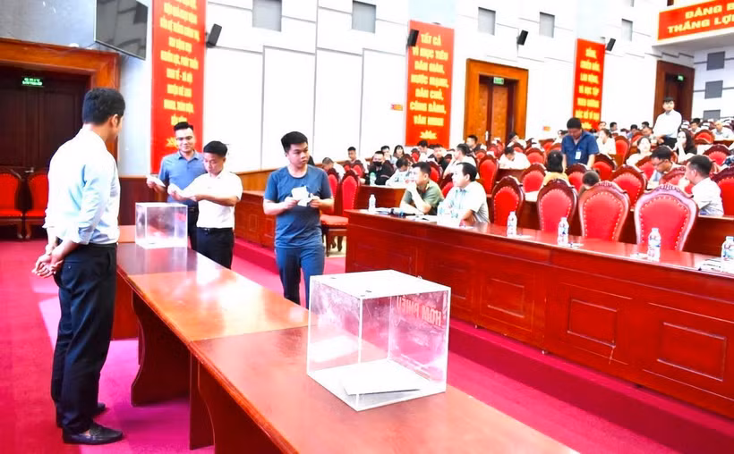 Phiên đấu giá 51 thửa đất tại xã Liên Mạc, huyện Mê Linh, Hà Nội, ngày 28/6. (Ảnh: TTXVN phát)