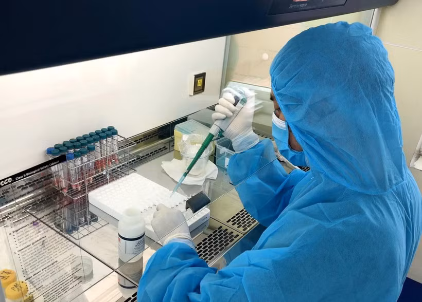 Cán bộ Trung tâm Kiểm soát bệnh tật tỉnh Quảng Ninh làm mẫu xét nghiệm bằng phương pháp PCR. (Ảnh: TTXVN phát)
