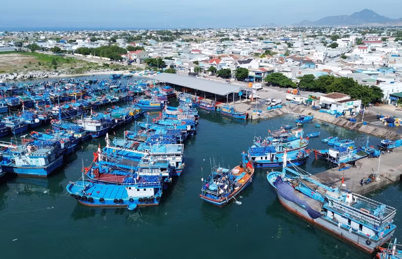 Cảng cá Mỹ Tân, xã Thanh Hải, huyện Ninh Hải, tỉnh Ninh Thuận, được đầu tư đồng bộ đáp ứng yêu cầu phát triển kinh tế biển của địa phương. (Ảnh: Nguyễn Thành/TTXVN)