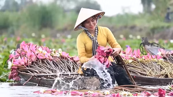 Ngỡ ngàng trước vẻ đẹp mùa nước nổi ở miền Tây Nam Bộ 