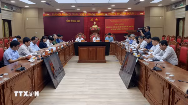 Thông qua Dự thảo báo cáo kết quả kiểm tra, giám sát đối với Ban Thường vụ Tỉnh ủy Gia Lai